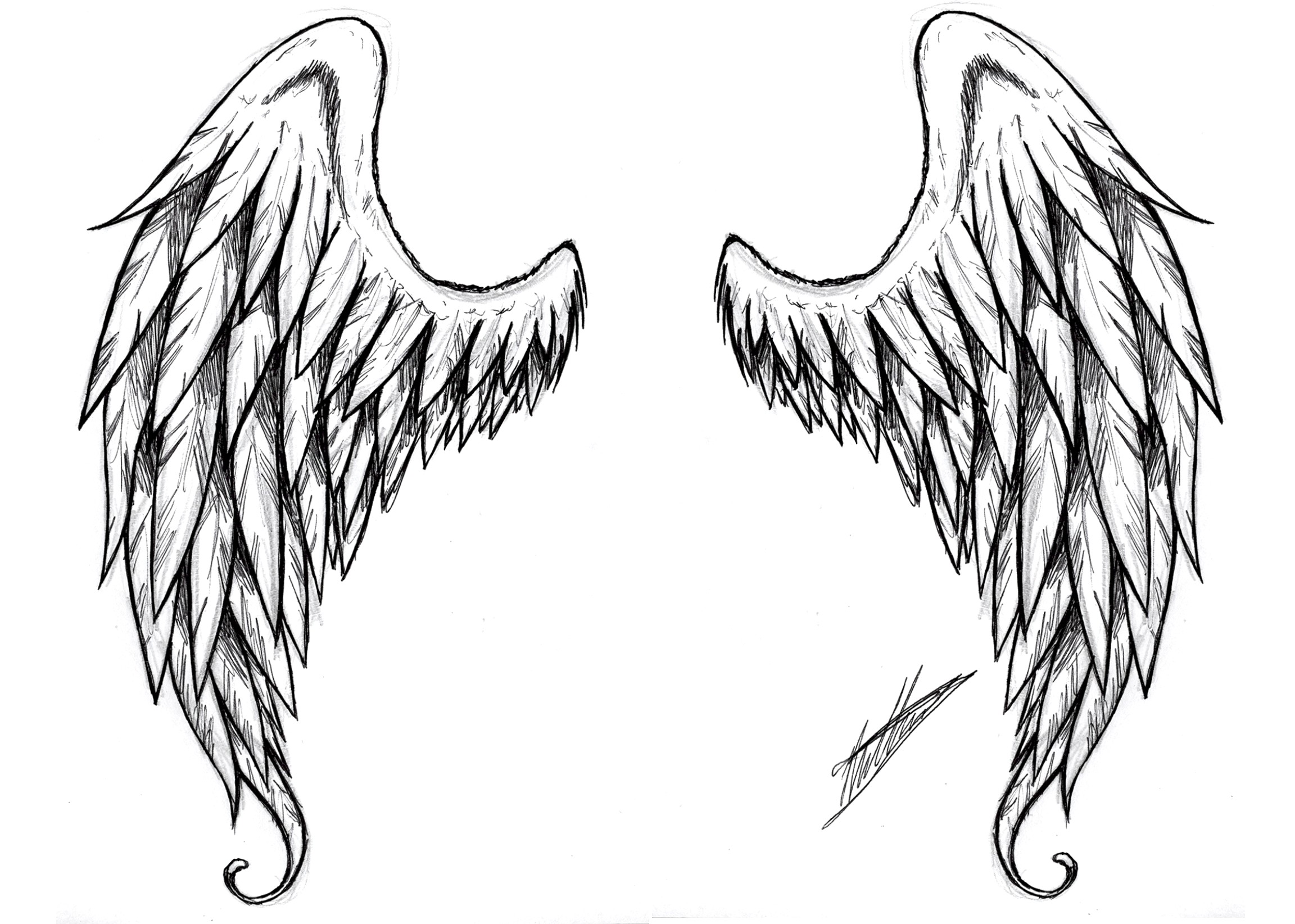 2304x1644 Angel Wings Sketch Realistic Drawing Tattoos On Back Tattoo