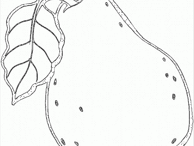 640x480 guava clipart