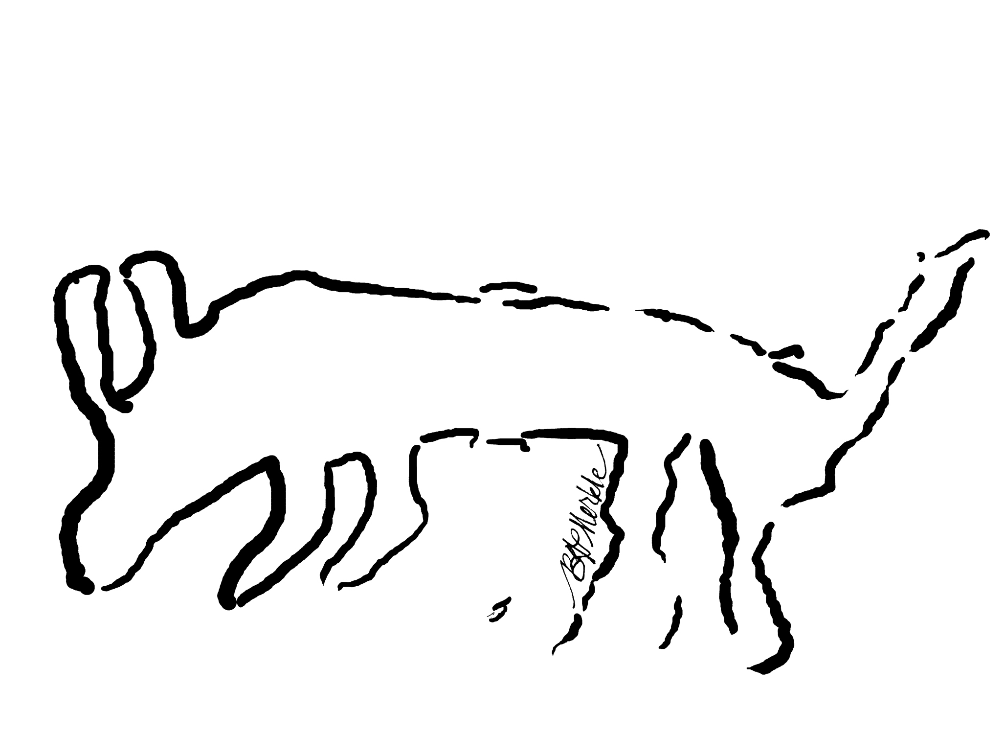 2055x1500 Suggestions For Integrating Drawing Into University Level Biology