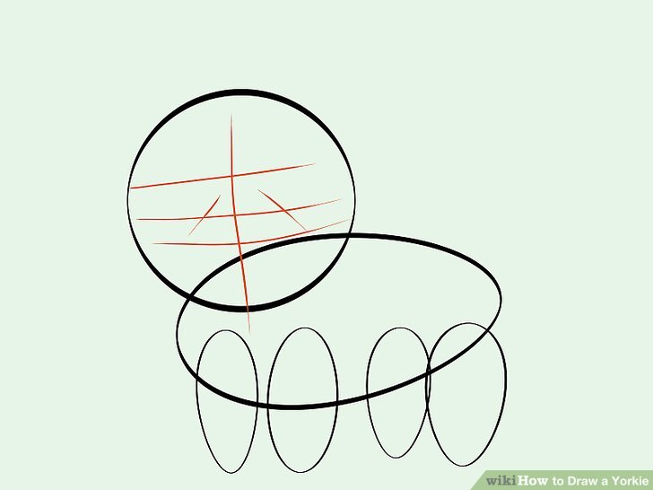 728x546 How To Draw A Yorkie