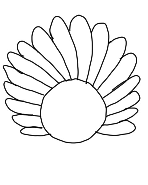 480x600 Practice Beginner Guided Drawing Archives