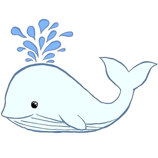 550x550 How To Draw A Whale