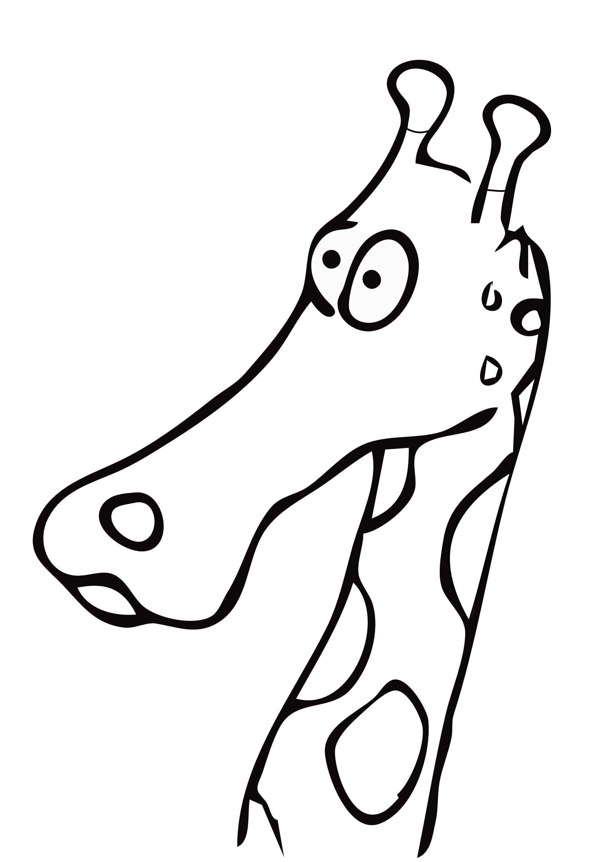 1979x2799 Collection Of Free Guided Drawing Giraffe Download On Ui Ex