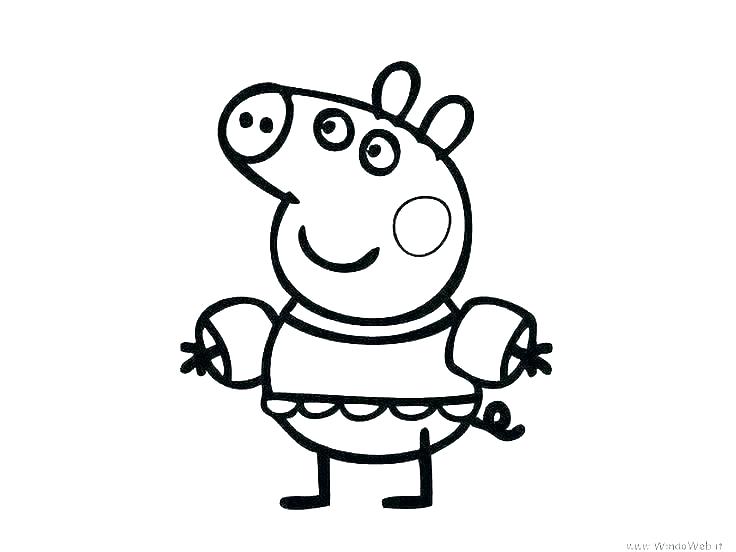736x552 coloring pages of pigs piggy bank guinea pigs coloring