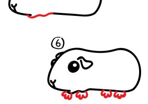 300x210 drawing guinea pigs how to draw a guinea pig steps