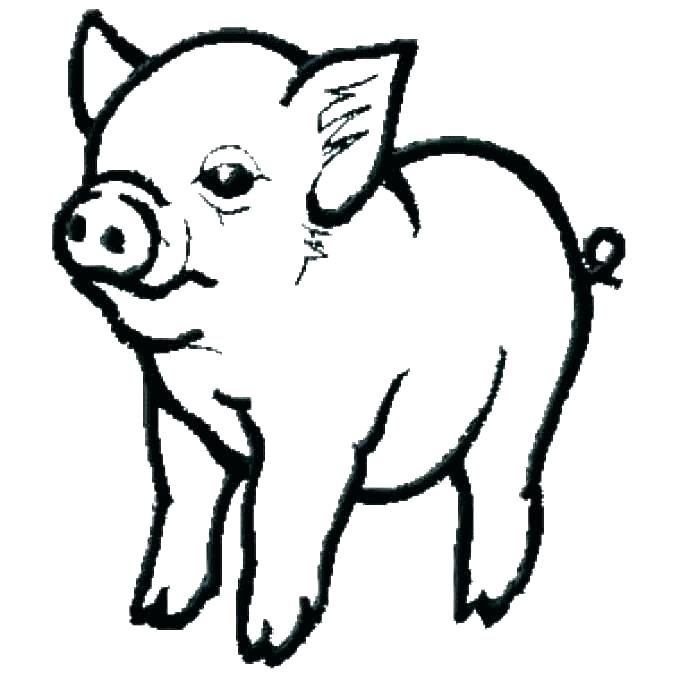 680x680 Pig Coloring Sheets