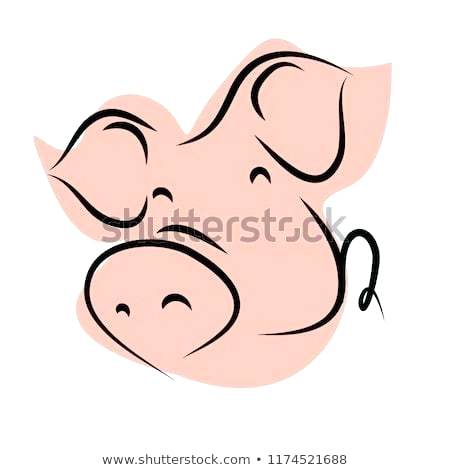 450x470 How To Draw A Cute Pig Step