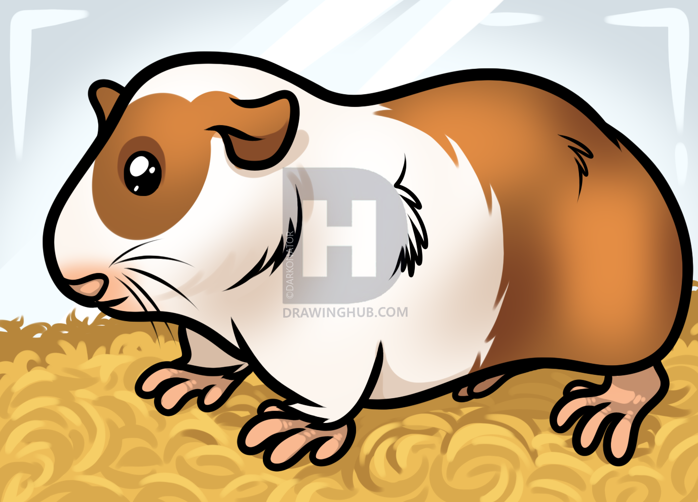 1378x991 How To Draw A Guinea Pig, Step