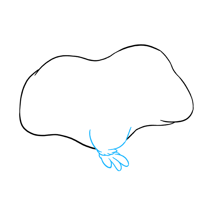 680x678 How To Draw A Guinea Pig