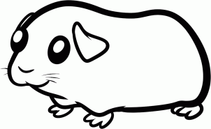 302x185 How To Draw How To Draw A Guinea Pig For Kids