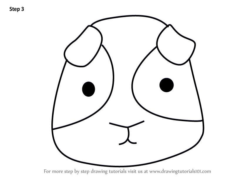 848x602 Learn How To Draw A Guinea Pig Face For Kids