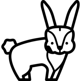 260x260 Pig, Drawing, Graphics, Transparent Png Image Clipart Free Download