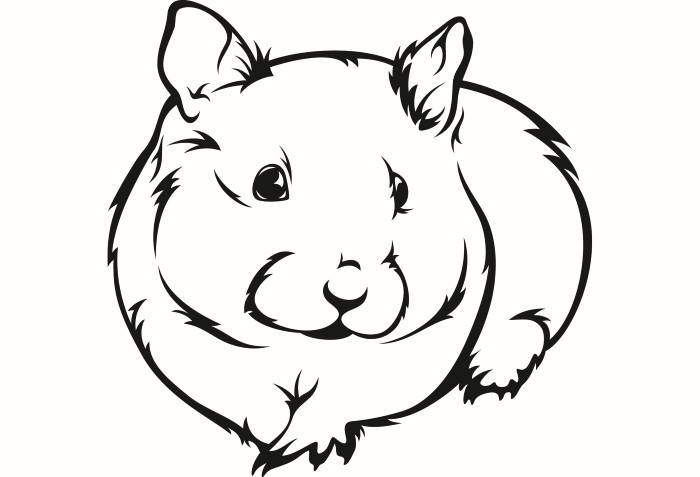 700x477 Guinea Pig Clipart Black And White
