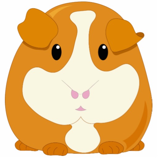 512x512 Guinea Pig Clipart Line Drawing