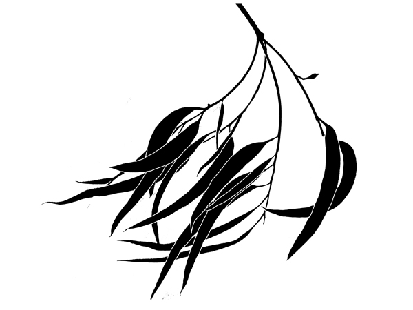 600x450 Half Drop Pattern Repeat Design Karen Smith