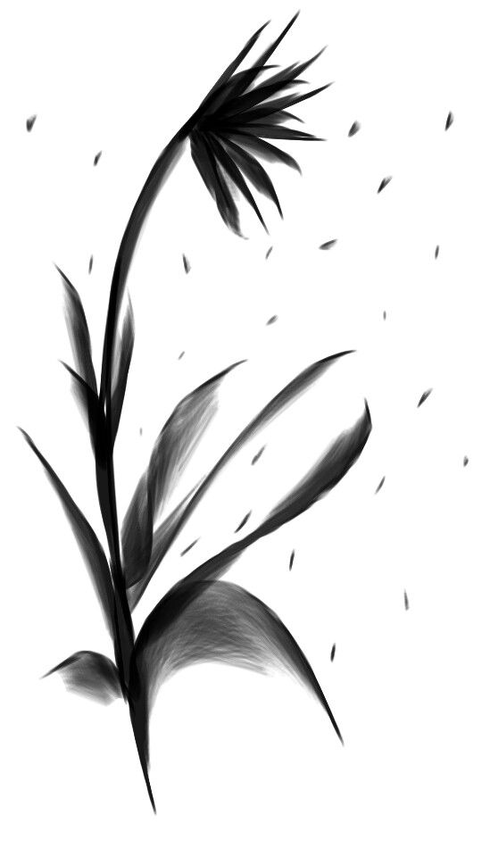540x960 black flower and drifting seeds reb, on sketch guru my art