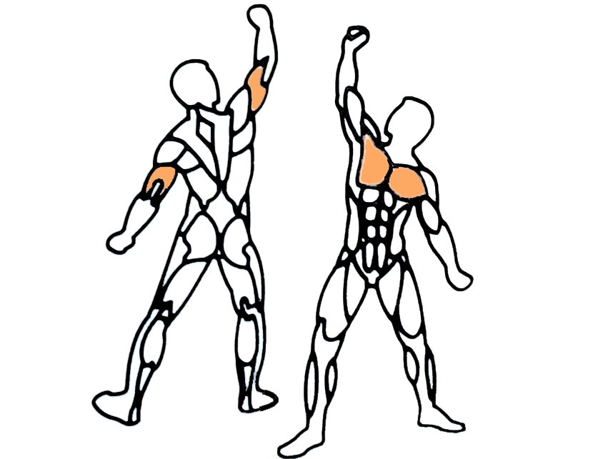 858x643 China Brilliant Hot Sale Gym Equipment Commercial Fitness Chest