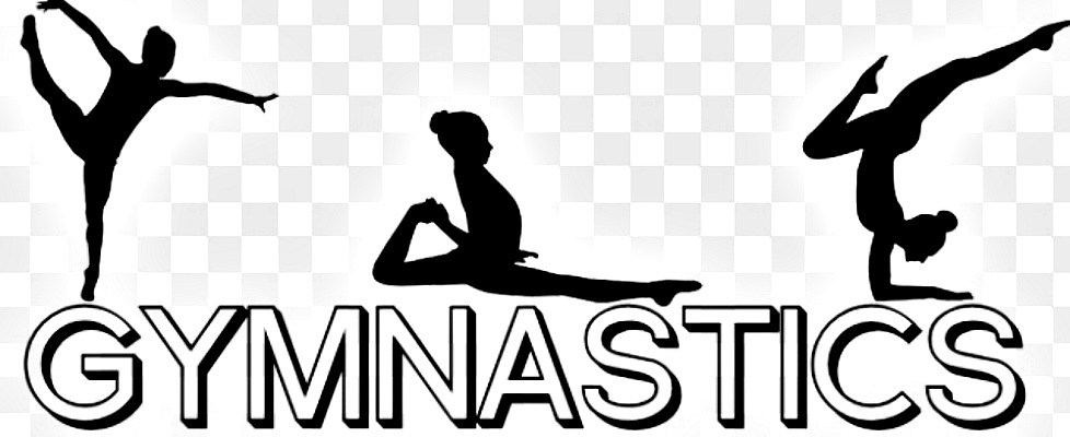 978x400 Gymnastic Center In Meera Girls College