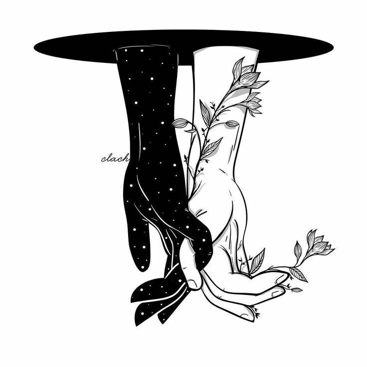 736x736 Illustrations