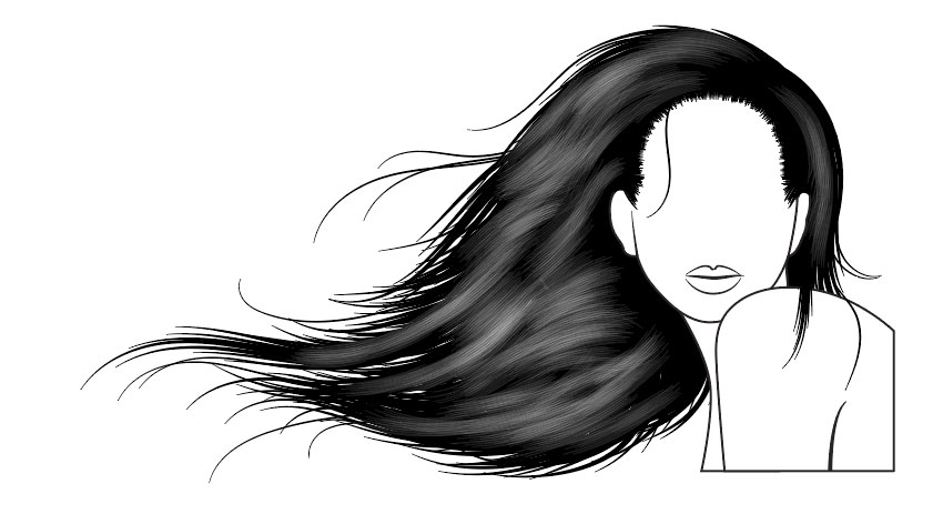 850x463 How To Vector Hair With Brushes In Adobe Illustrator