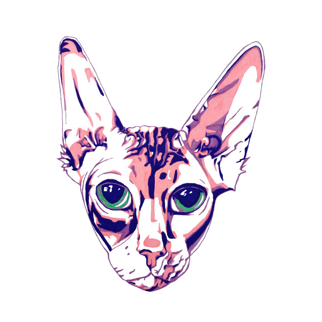 630x630 sphynx