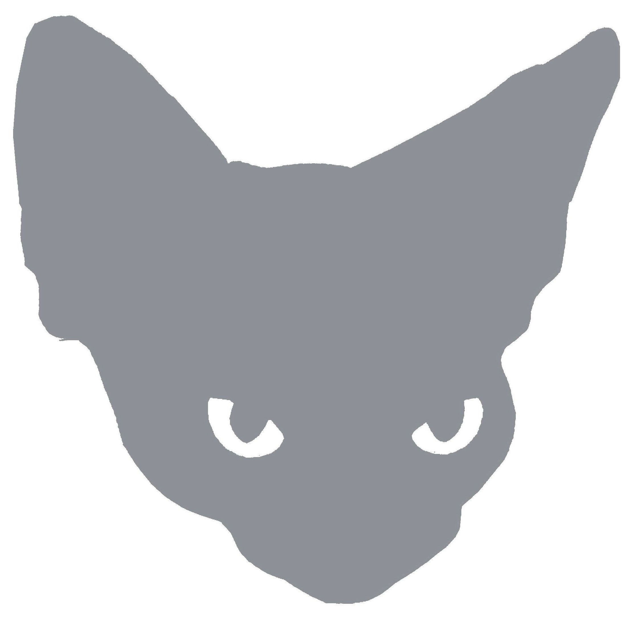 2253x2253 sphynx cat clothes cat toys cat clothes cat