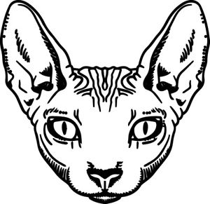 300x291 sphynx cat decal window bumper sticker car hairless sphinx feline