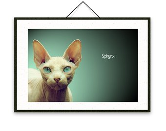 340x270 sphynx cat poster etsy