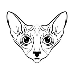 240x240 sphynx photos, royalty free images, graphics, vectors videos