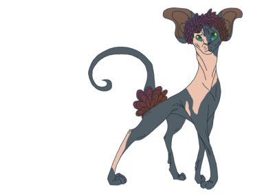 400x285 i want a sphynx tumblr