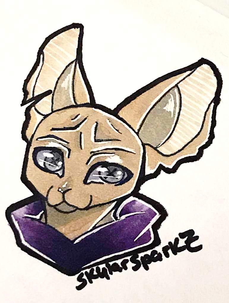 772x1023 fesks hairless cat undertale aus amino