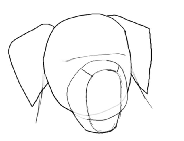640x490 How To Draw A Golden Retriever Face
