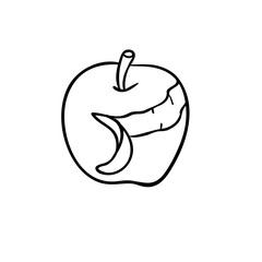 240x240 Apple Cut In Half Line Drawing For Coloring And Schooling
