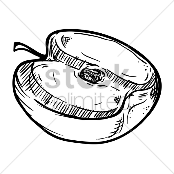 600x600 Apple Sliced In Half Vector Image