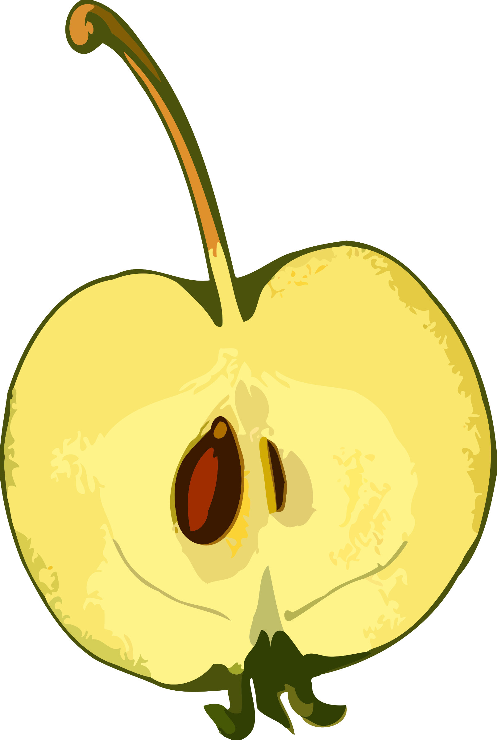 1611x2400 Half Apple