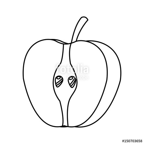500x500 Half Apple Fresh Tasty Fruit Design Line Vector Illustration