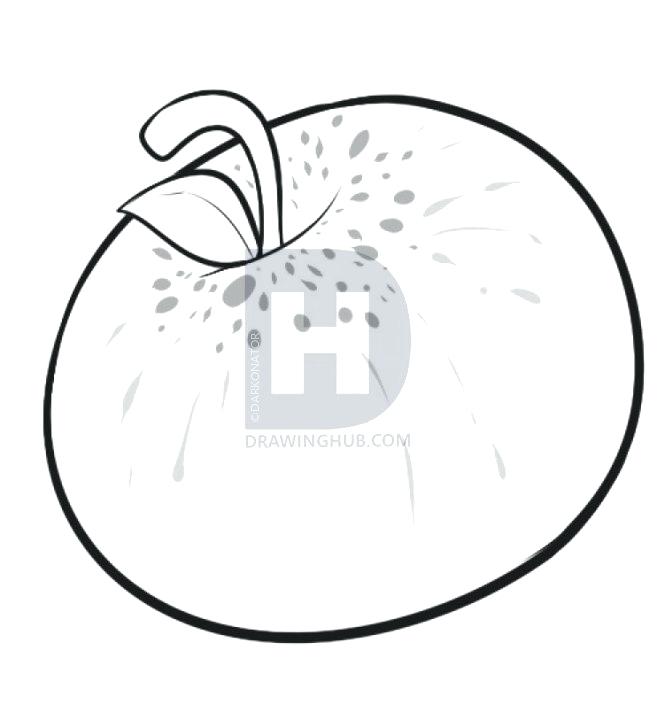 665x720 Apple Drawing A Is For Apple Drawing