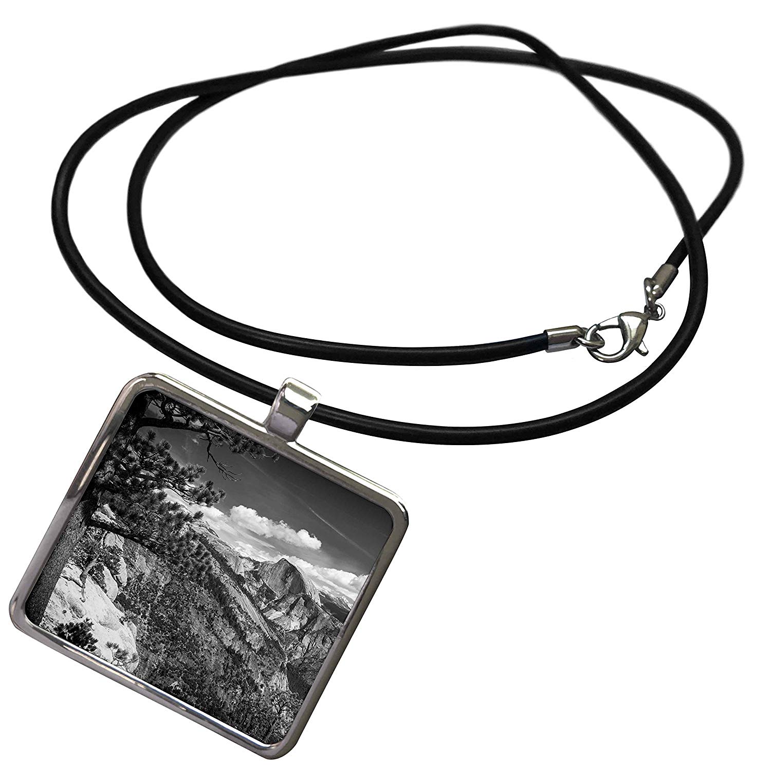 1500x1500 Danita Delimont