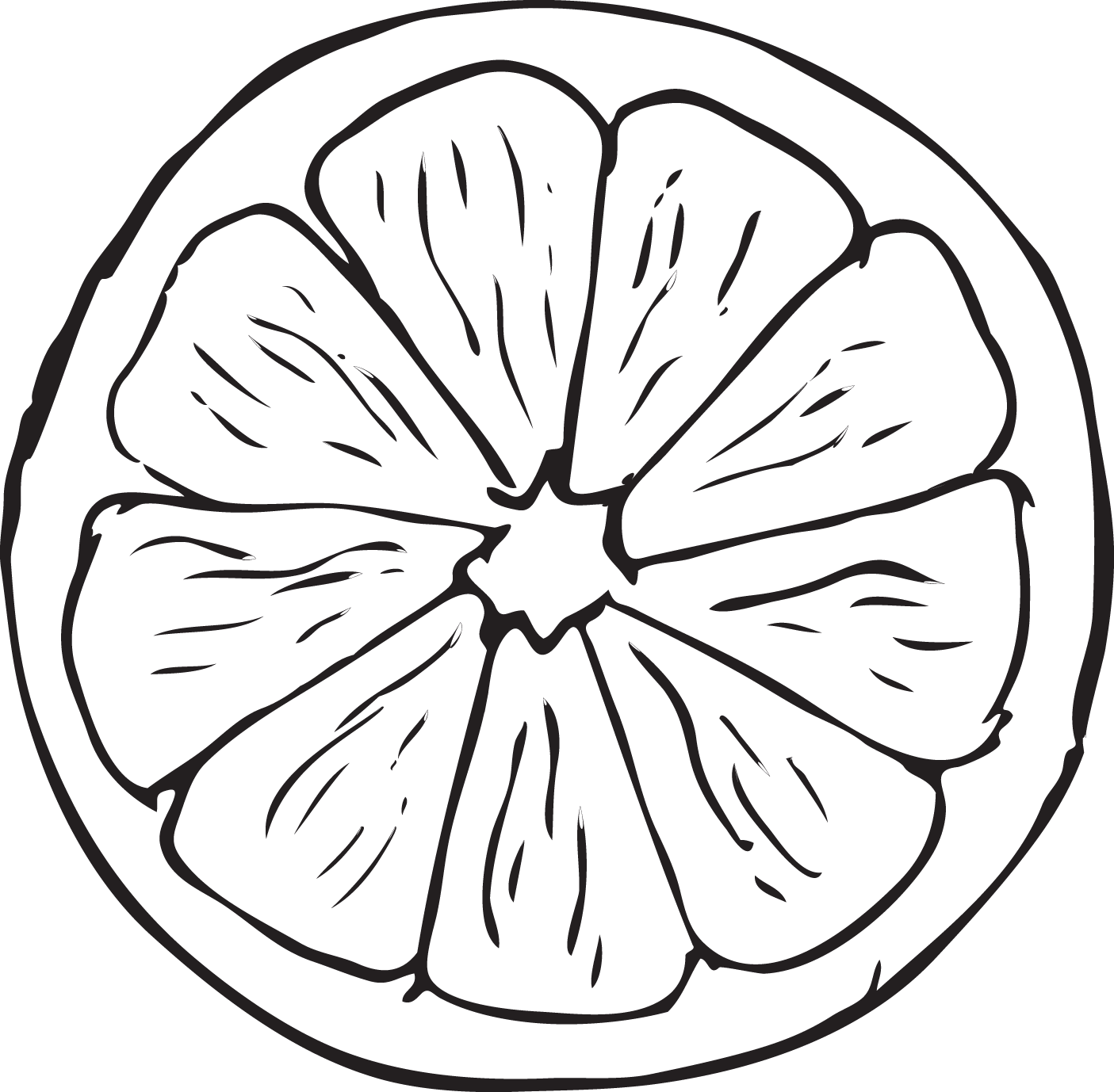 1405x1378 Collection Of Free Lime Drawing Half Orange Download On Ui Ex