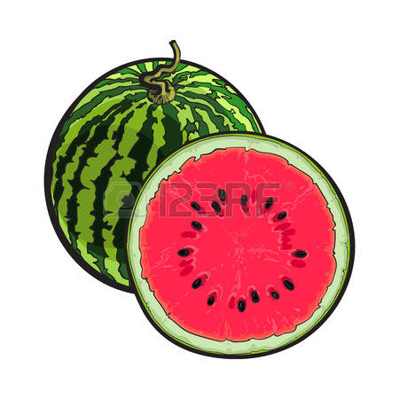 450x450 Drawn Watermelon Half Drawing