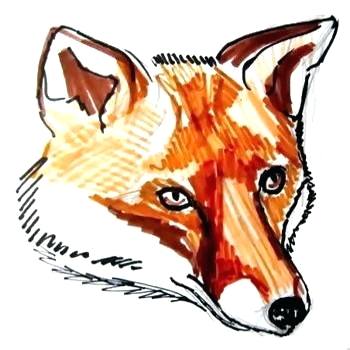 350x350 animal face drawing bat face half human half animal face drawing