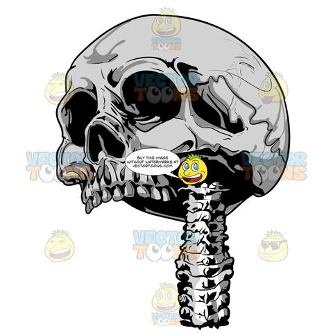 480x480 Royalty Free Images Tagged Skeleton Clipart Cartoons