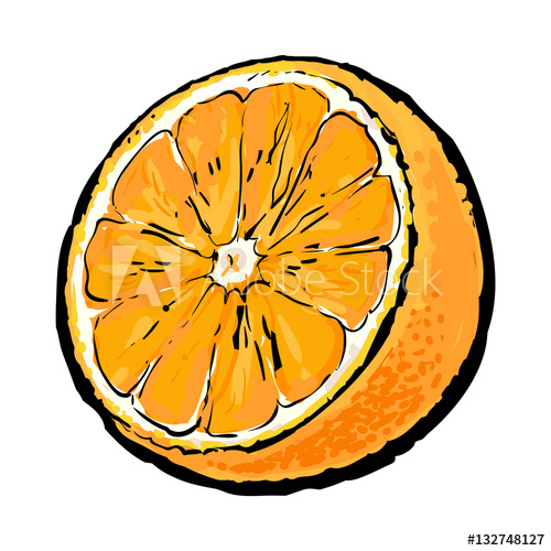 500x500 realistic colorful hand drawn half of ripe, juicy orange, sketch