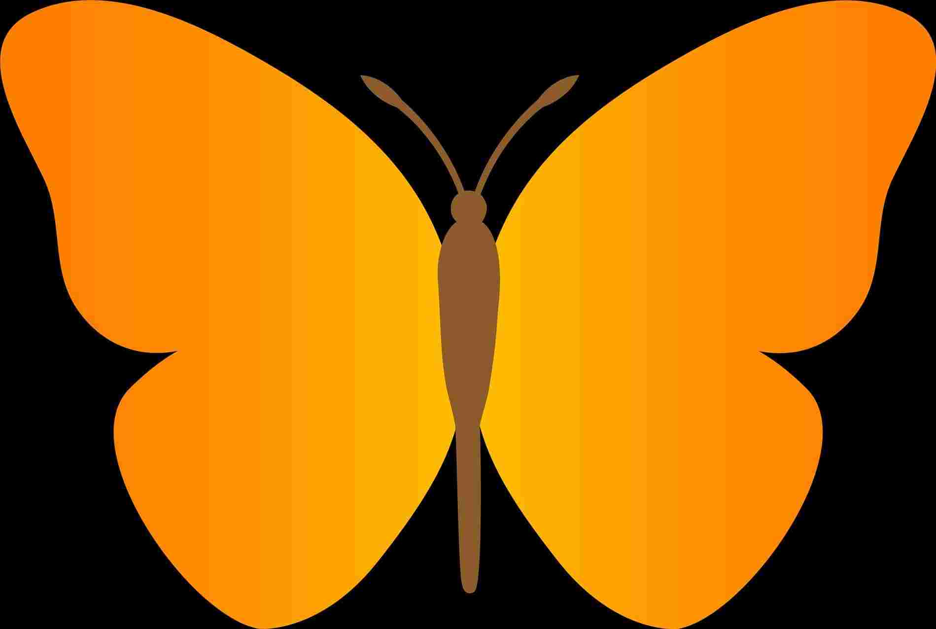 1899x1276 Skull Face S Rhcom Skull Half Picture Half