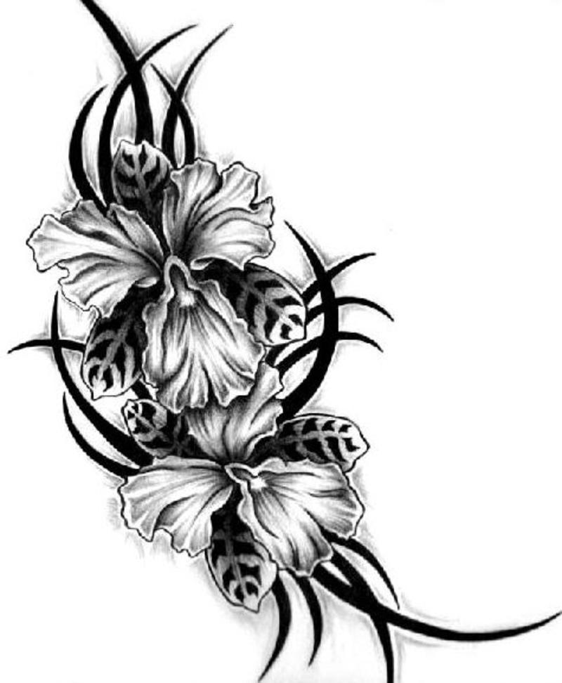 800x972 Colorful Orchid Half Sleeve Tattoos Tattoo Ideas