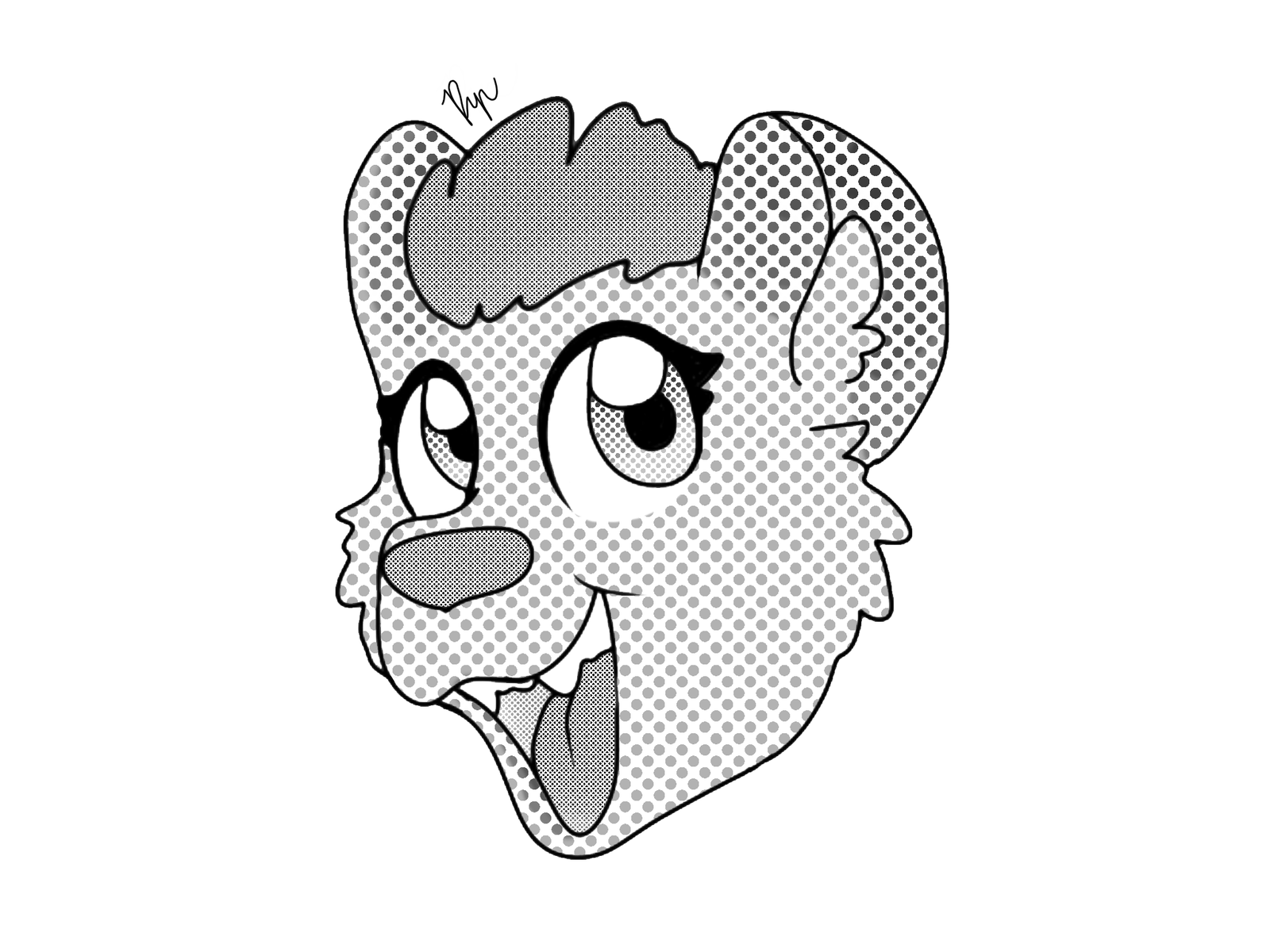 1600x1200 Halftone Testing