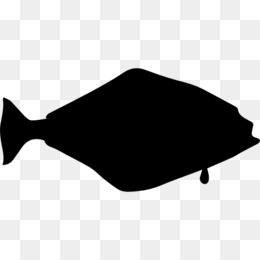 260x260 Fish Shape Png