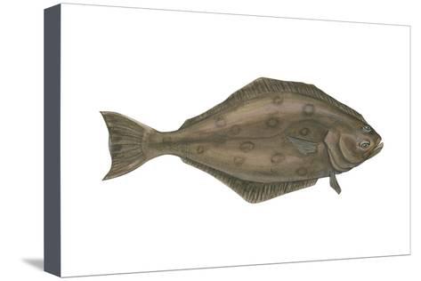 473x316 Halibut