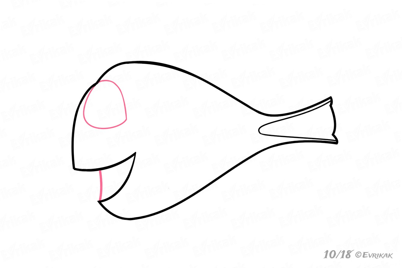 1300x867 How To Draw Dory The Fish From The Cartoon Finding Nemo