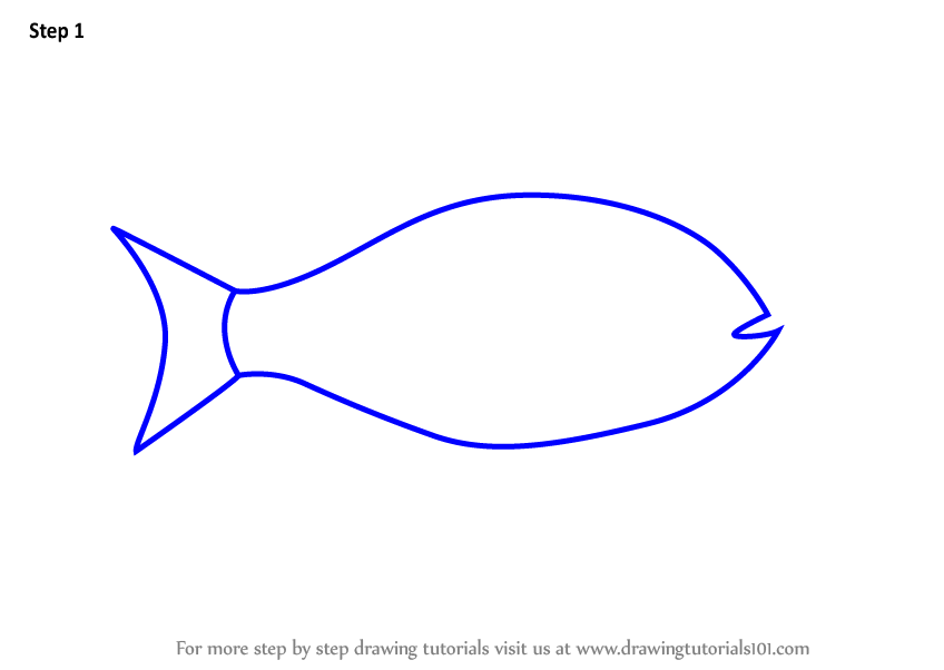848x602 Learn How To Draw A Halibut Fish For Kids
